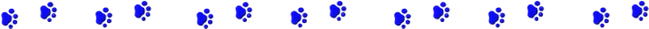 blue tatzen-divider=2